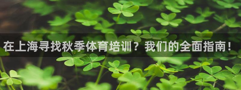 耀世传说：在上海寻找秋季体育培训？我们的全面指南！