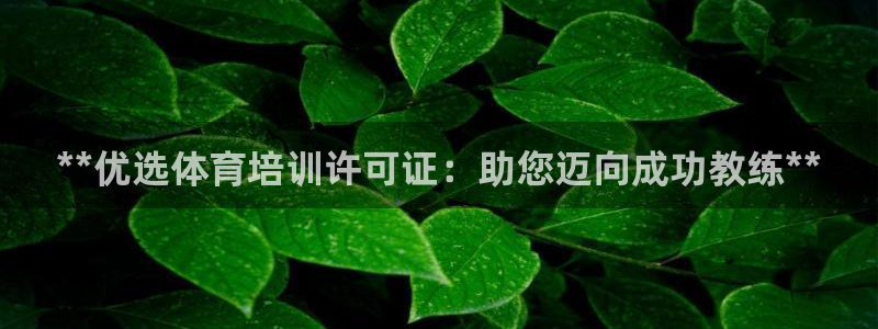 耀世第三关怎么过：**优选体育培训许可证：助您迈向成功教练*