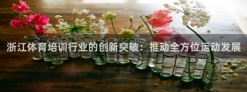 耀世娱乐官网网站下载：浙江体育培训行业的创新突破：推